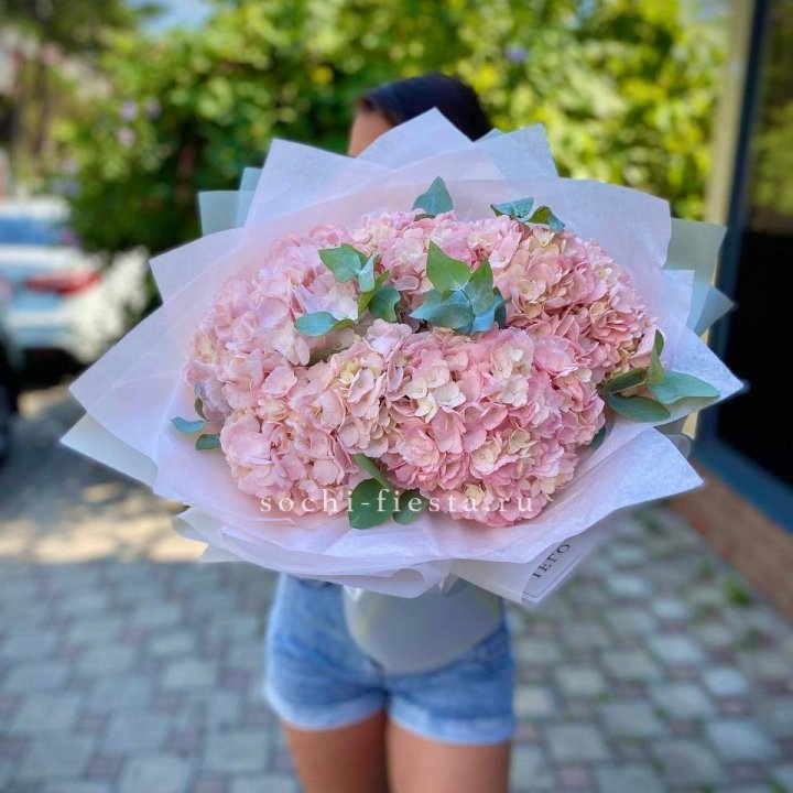 5 розовых гортензий  в Сириусе