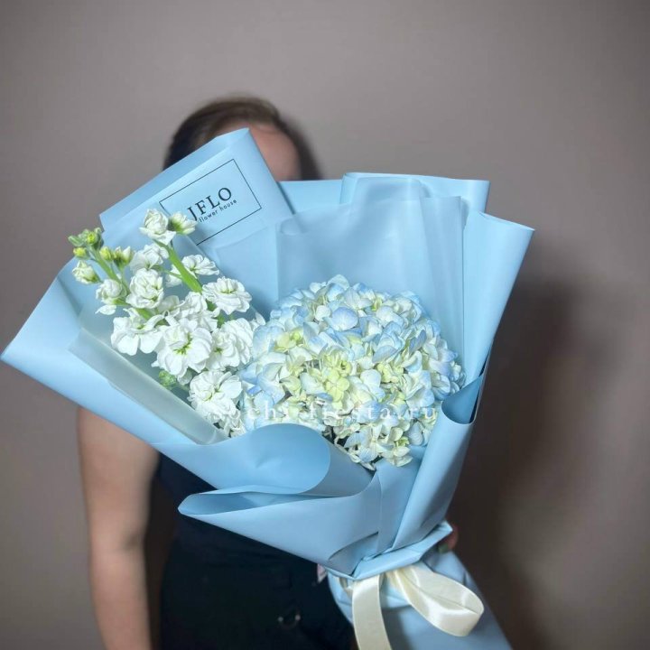 Гортензия голубая с маттиолой в Сириусе