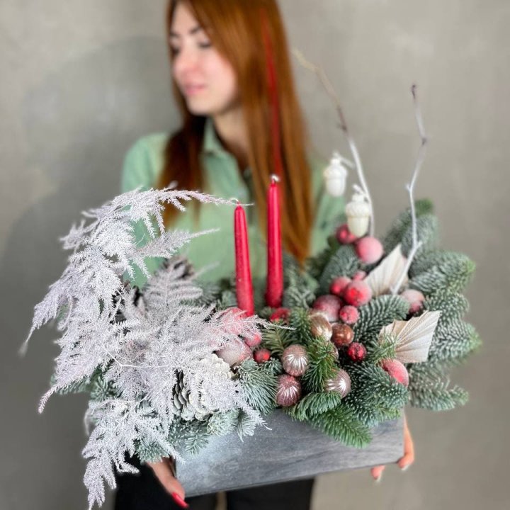 Бокс красный с нобилисом в Сириусе