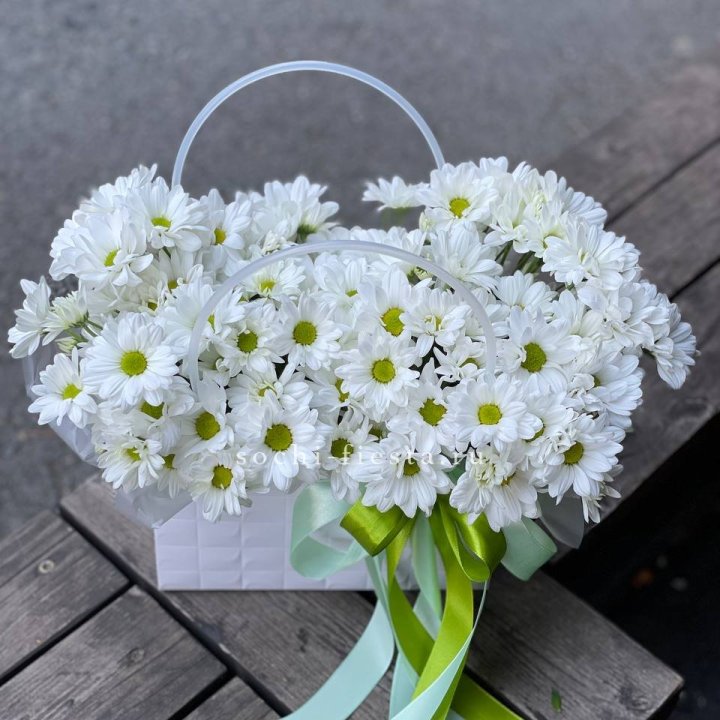 Сумка с хризантемами ромашками в Сириусе