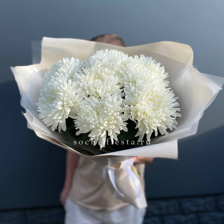 Профитроли в Нижнем Новгороде