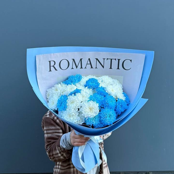 Дуо хризантем в Сириусе