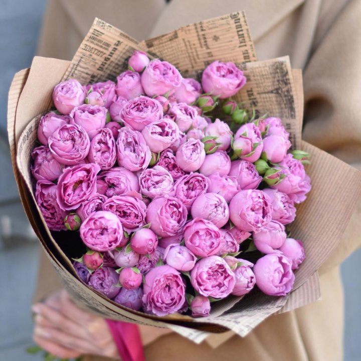 Роза Мисти Баблс в Нижнем Новгороде