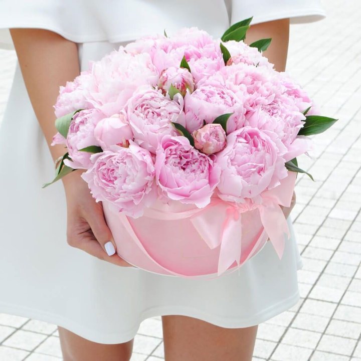 Пионы в шляпной коробке в Нижнем Новгороде