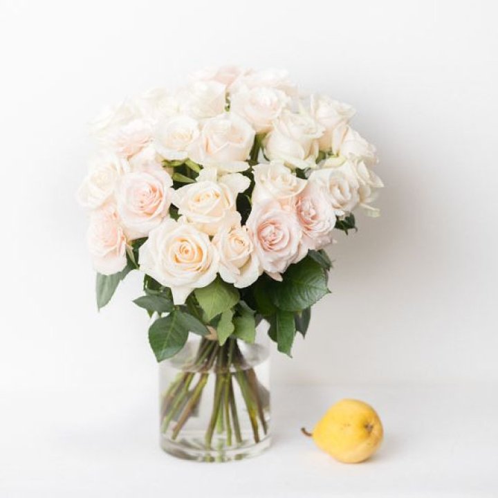 25 кремовых роз в Нижнем Новгороде