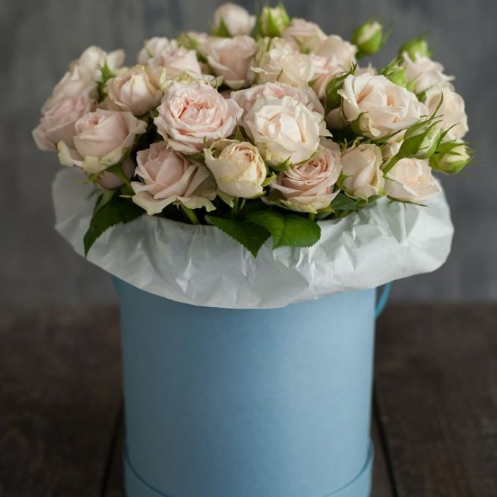 Бокс с бомбастиком в Нижнем Новгороде