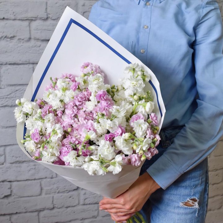 Маттиола в Нижнем Новгороде