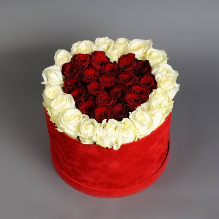 39 красных и белых роз в цилиндре в Сириусе