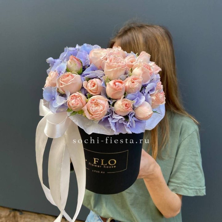 Бокс бомбастик и гортензия в Сириусе