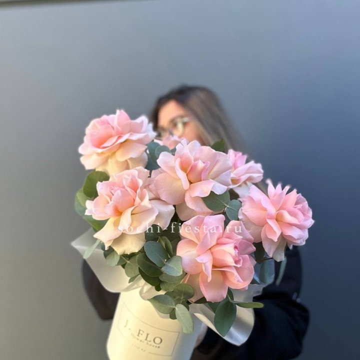 Французские роз в боксе в Сириусе