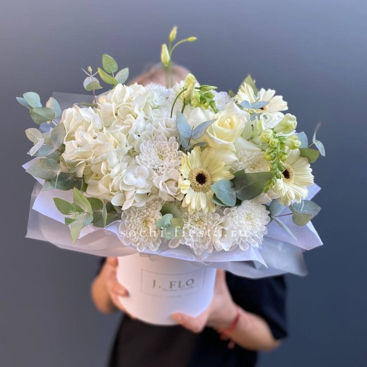  Коробочка  "Луна" в Сириусе