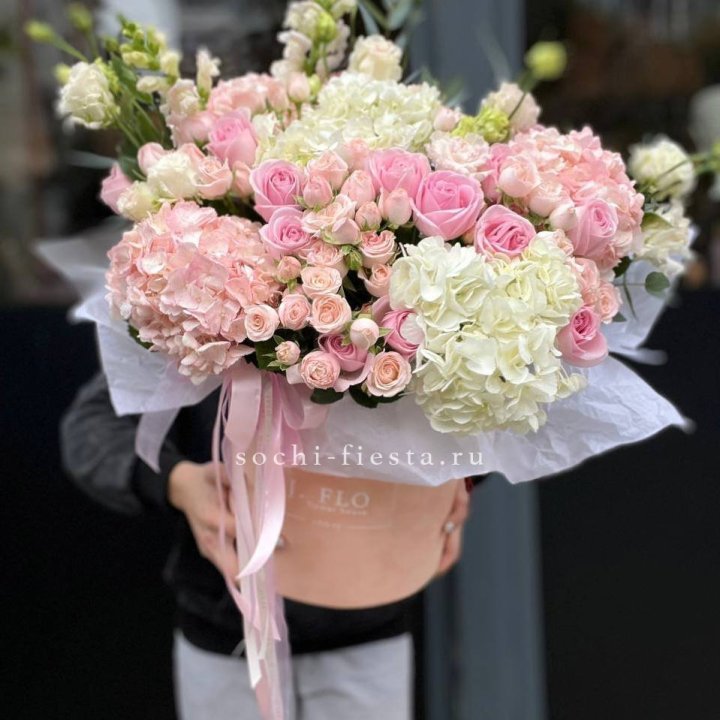 Бокс "Царевна" в Сириусе