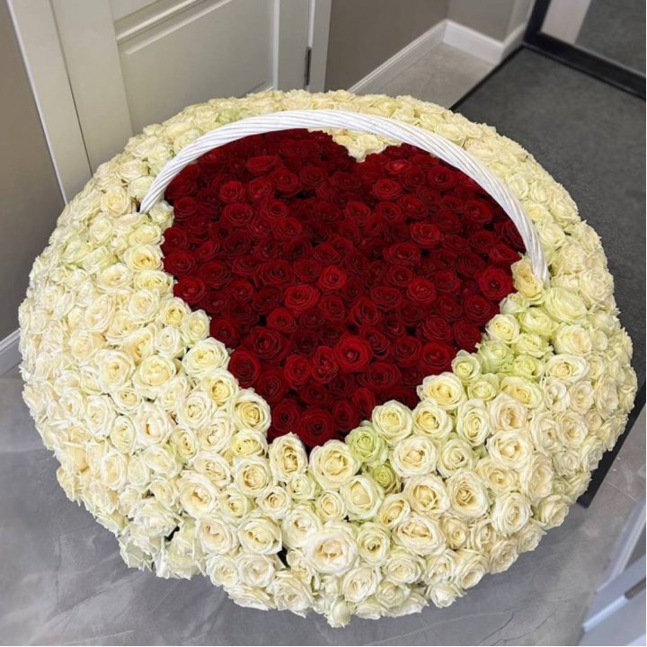 501 роза сердце в Сириусе