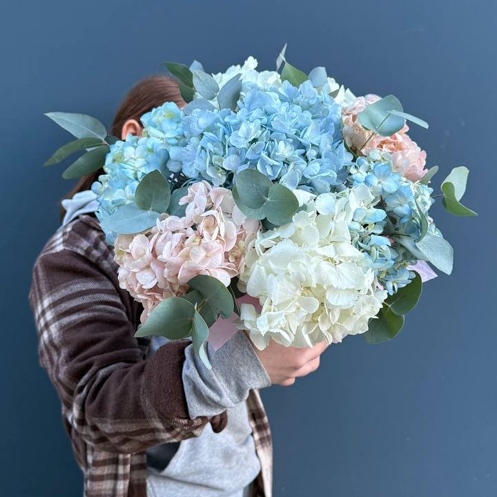 Гортензии в коробочке в Сириусе