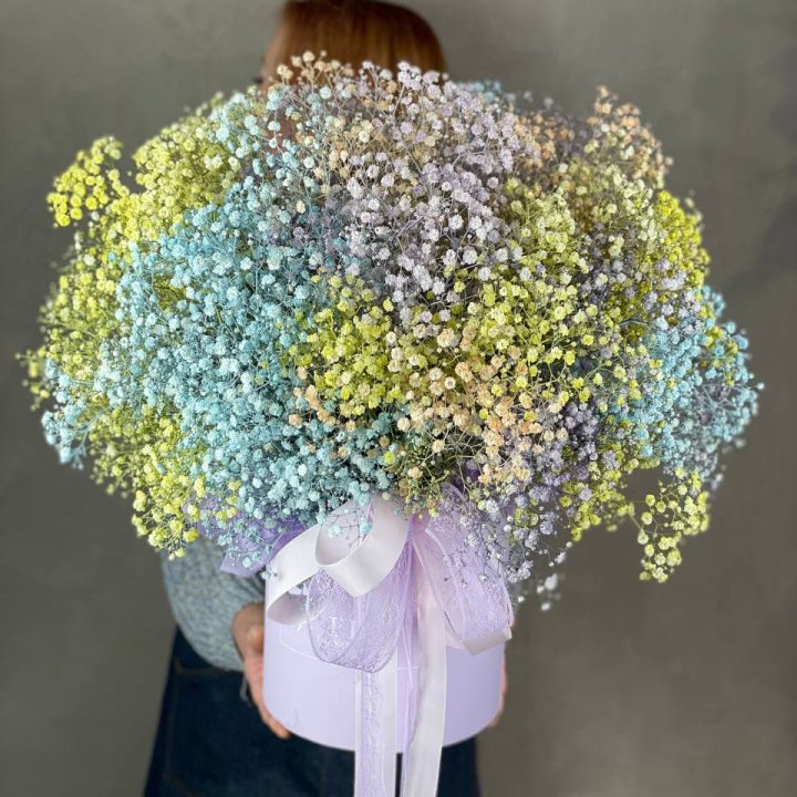 Бокс из гипсафил в Сириусе