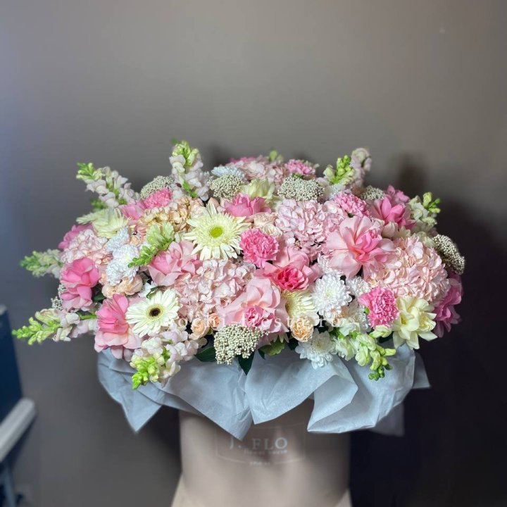  Коробка гигант №3 в Сириусе