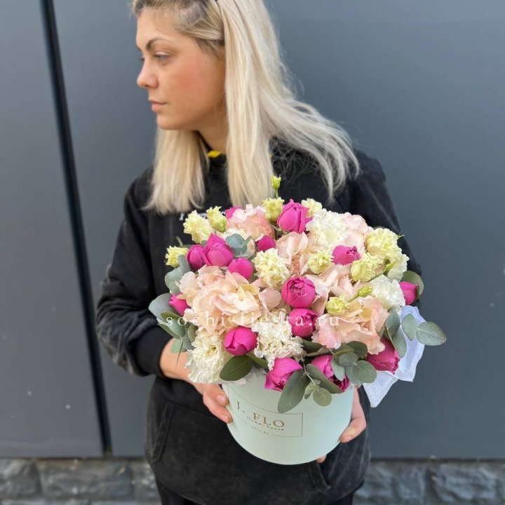 Сборный бокс премьер в Сириусе