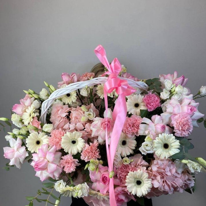 Корзина "Ионита" в Сириусе