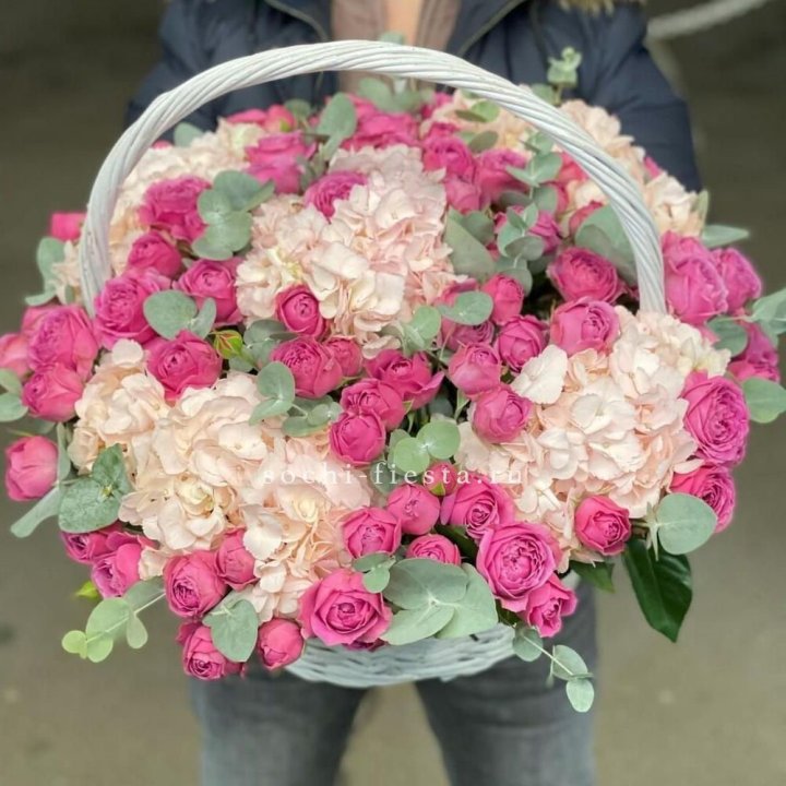 Корзина с гортензией и Мисти Баблс в Сириусе