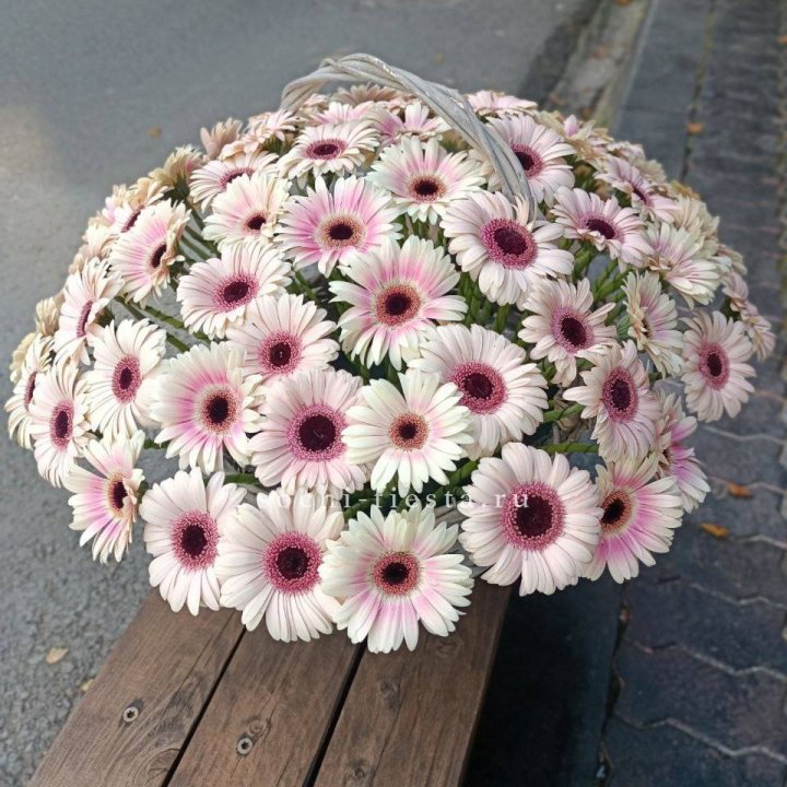 Корзина с герберами  в Нижнем Новгороде