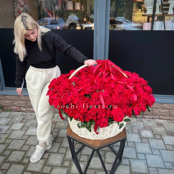 201 французская красная роза в Сириусе