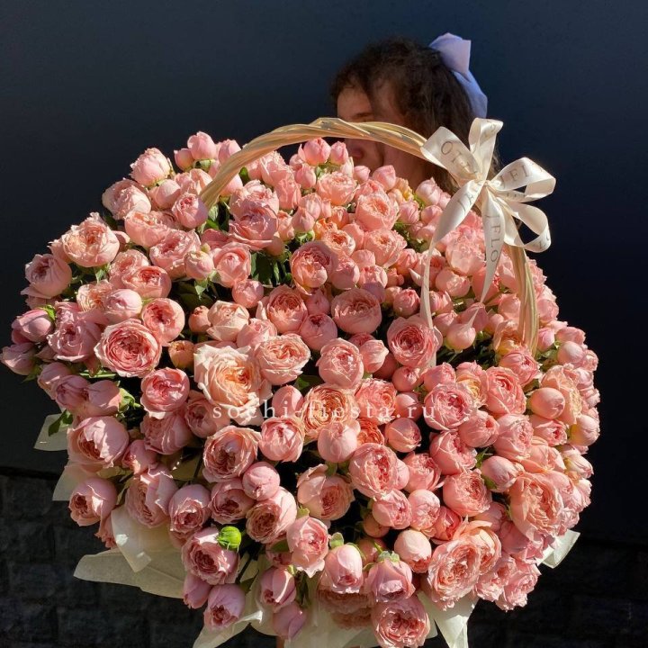 Корзина из пионовидных роз в Сириусе