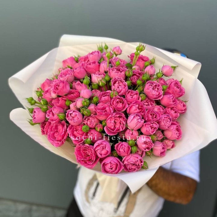 Мисти Баблс 35шт в Сириусе