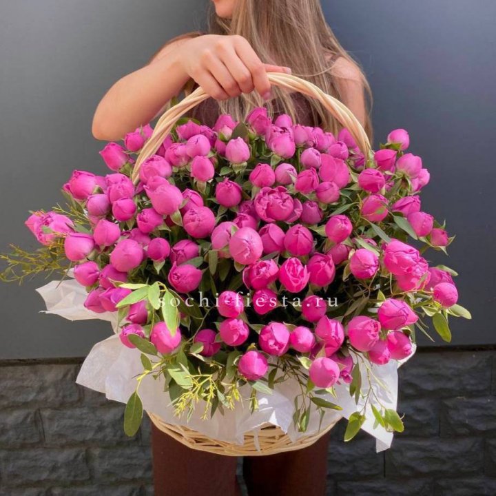 51 мисти баблс в корзине в Сириусе