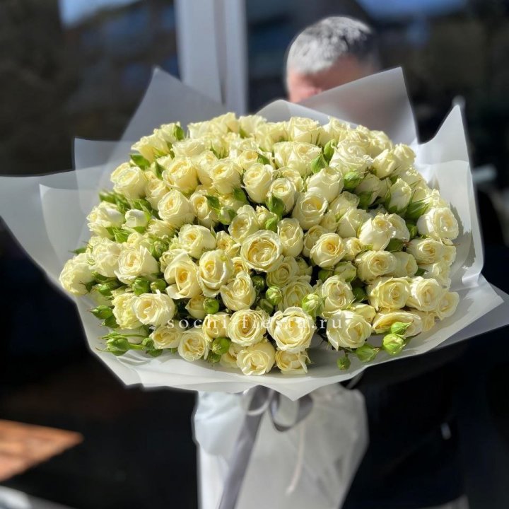 Белые кустовые розы 31 шт в Сириусе