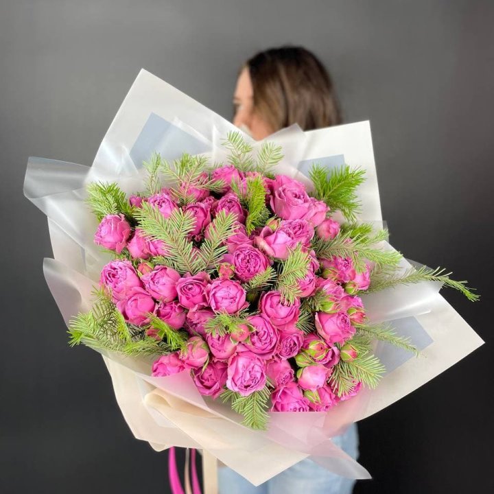 Мисти крисмас в Сириусе