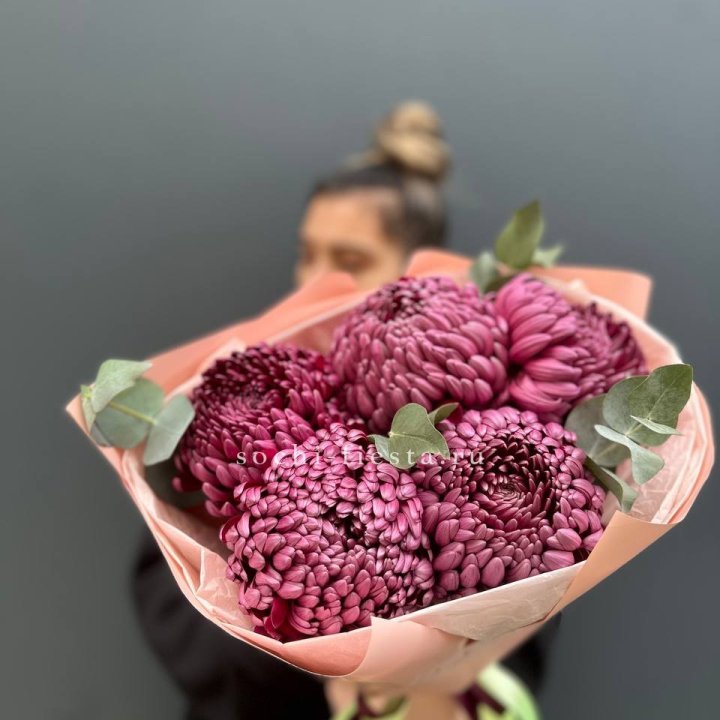 Хризантемы  Бигуди  в Сириусе