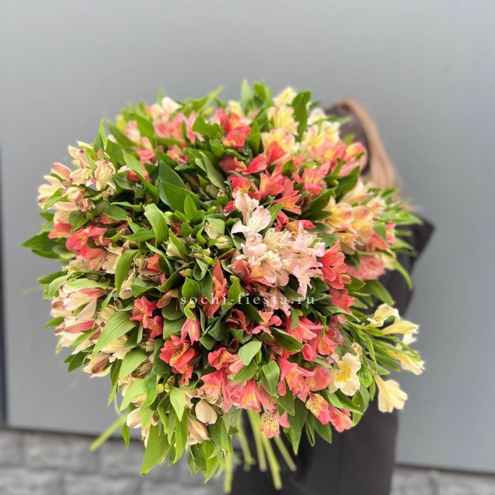 51 альстромерия в Нижнем Новгороде