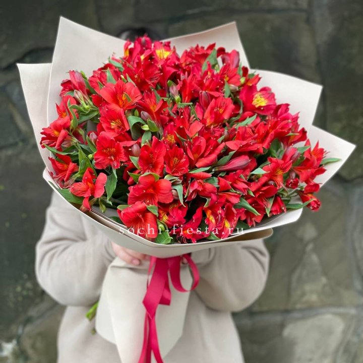 51 альстромерия в Нижнем Новгороде