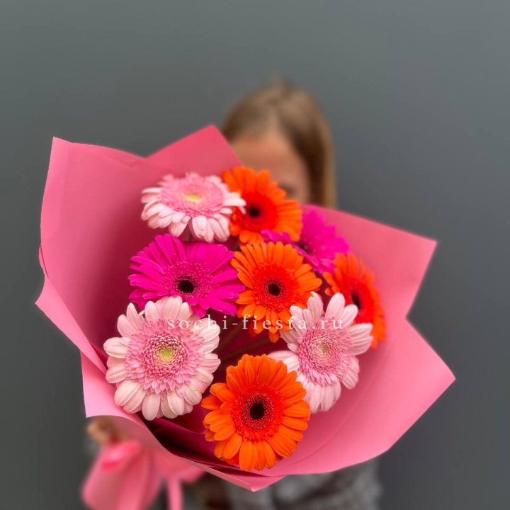 Краски в Сириусе