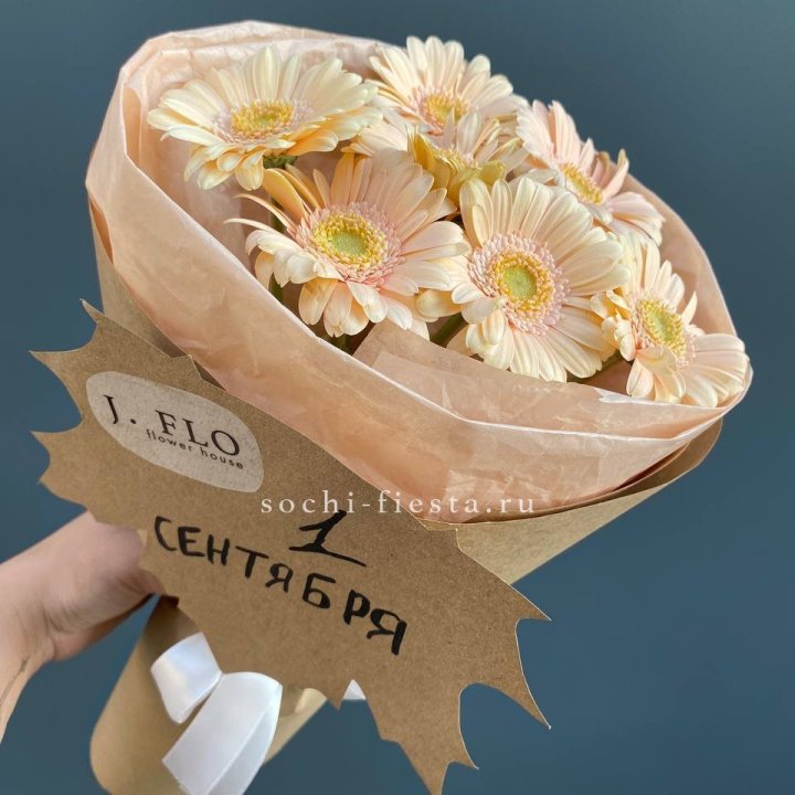 Букет гербер к 1 сентября в Сириусе