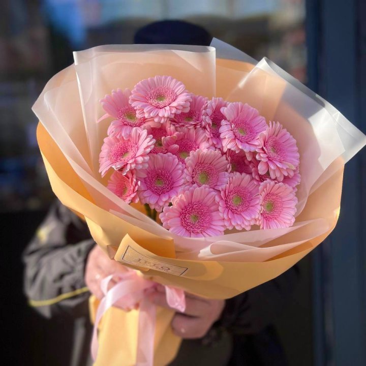 17 розовых гербер  в Сириусе