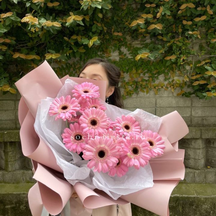 13 розовых гербер в Сириусе