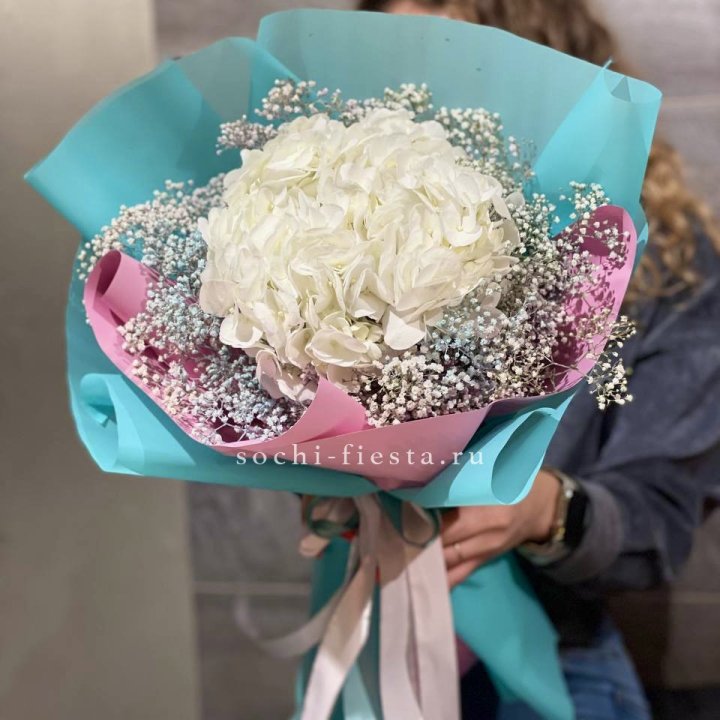 Гортензия "Райдов" в Сириусе