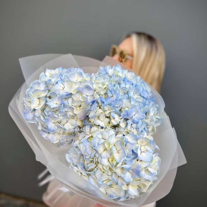 Букет из 3 голубых гортензий  в Сириусе