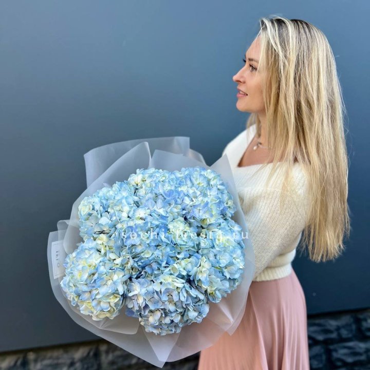 7 голубых гортензий в Сириусе