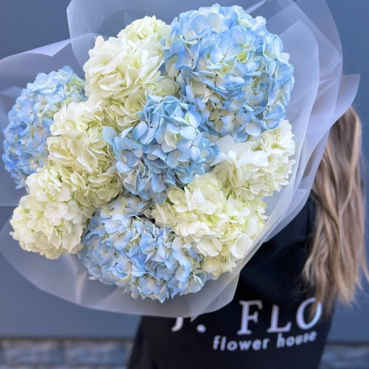 9 бело-голубых гортензий в Сириусе