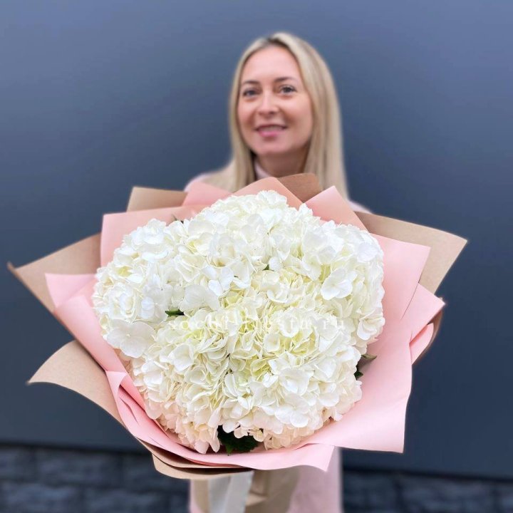 Гортензия белая в Сириусе