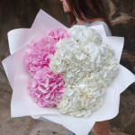 Заказать ГОРТЕНЗИИ в Нижнем Новгороде с доставкой и по самым низким ценам