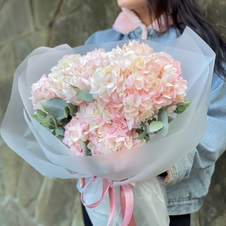 5 розовых гортензий в Сириусе