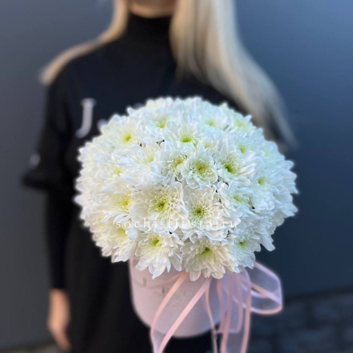 Коробка с хризантемами №1 в Сириусе