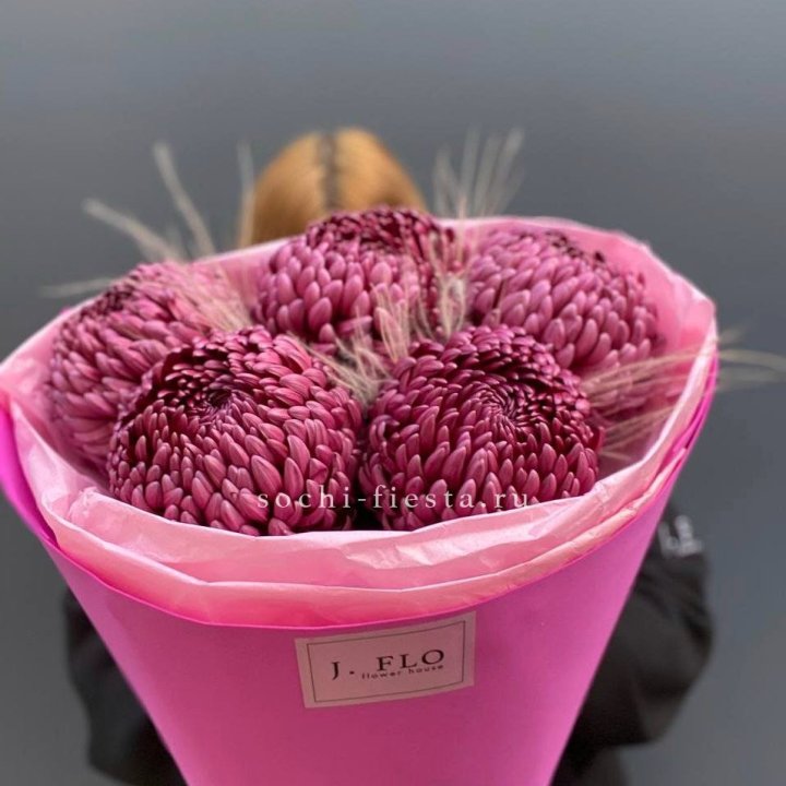 Хризантемы  Бигуди со стифой в Сириусе