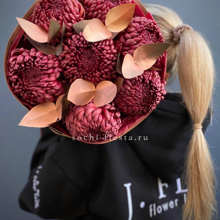 Хризантемы "Голд шоколад" в Сириусе