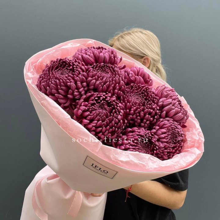 9 хризантем бигуди в Сириусе