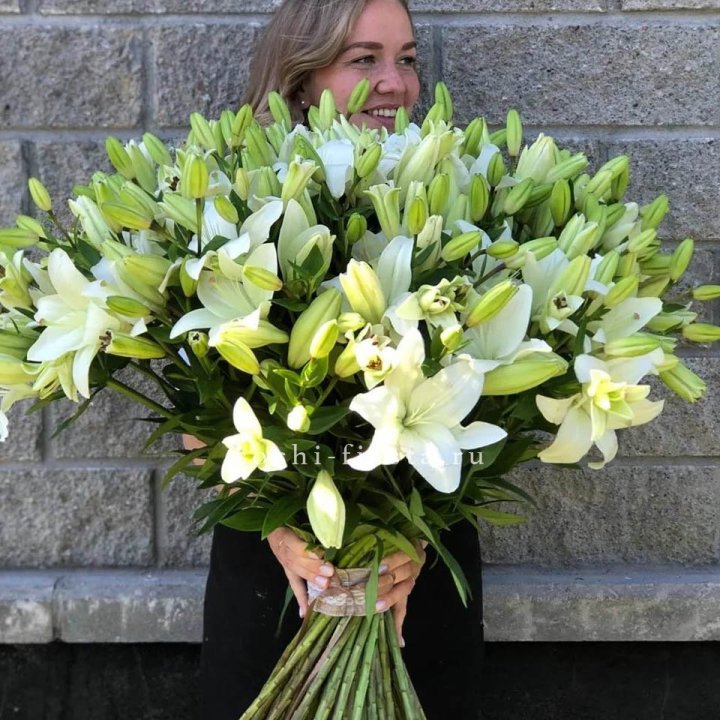 51 лилия в Нижнем Новгороде