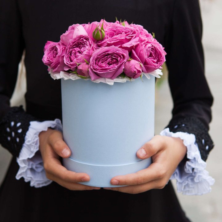 Бокс мини мисти в Сириусе